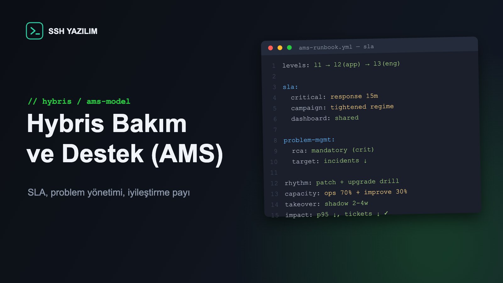 Code editor window showing AMS support levels and SLA dashboard