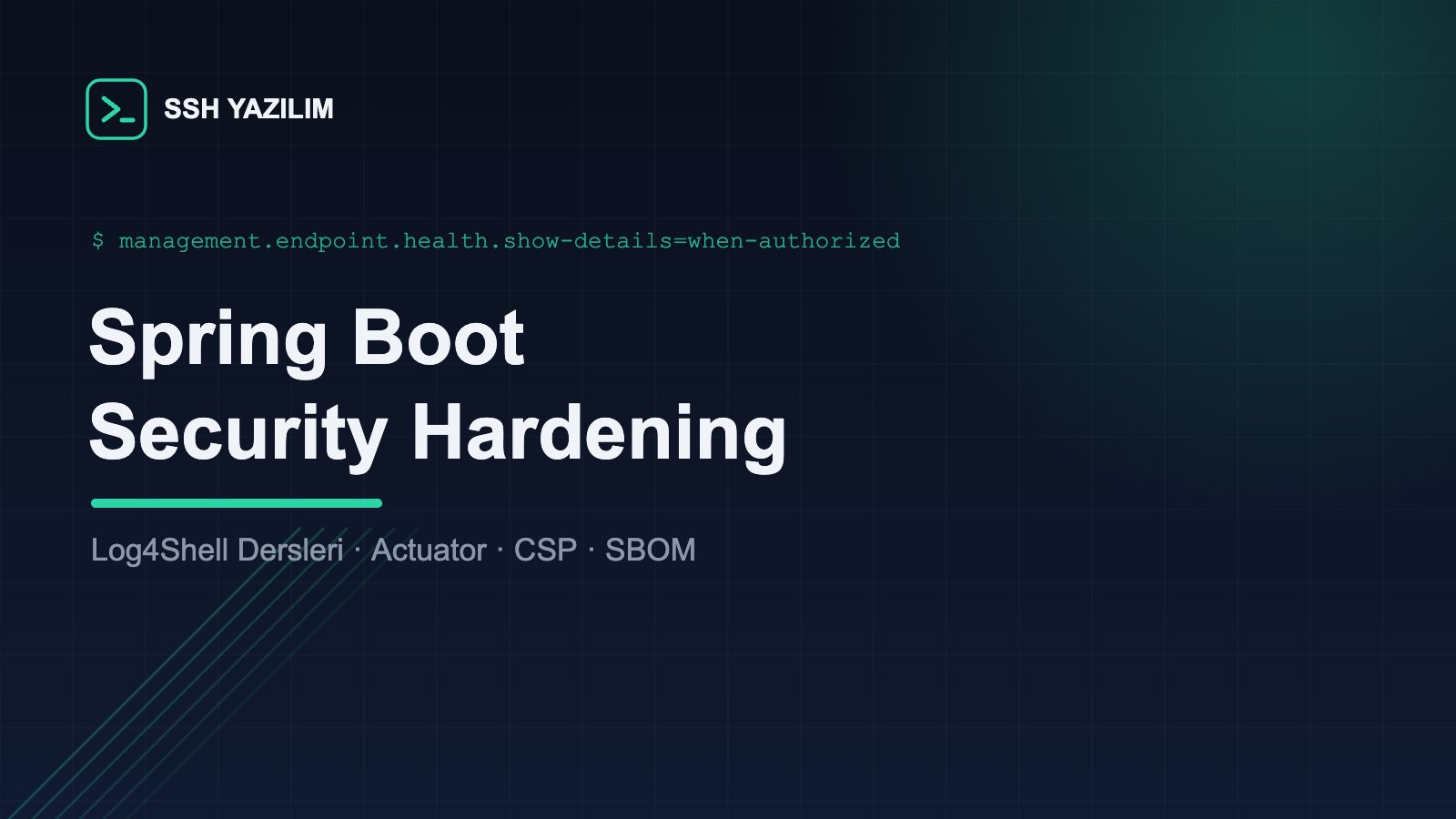 Spring Boot uygulaması için derinlemesine savunma katmanlarını gösteren teknik şema: WAF, TLS, Spring Security, uygulama kodu ve veri katmanı